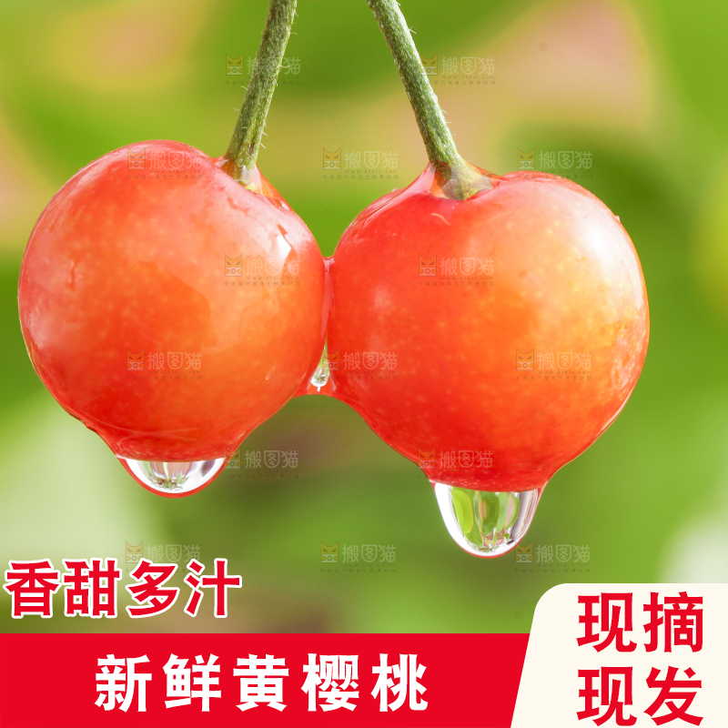 手里拿着水晶樱桃