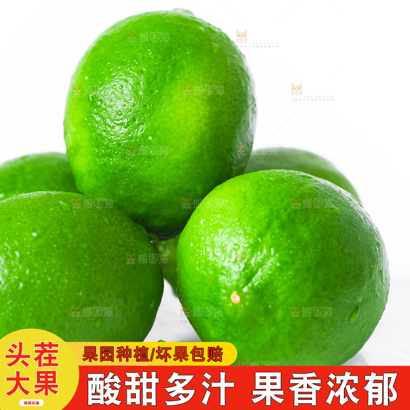 白底上放着无籽青柠檬