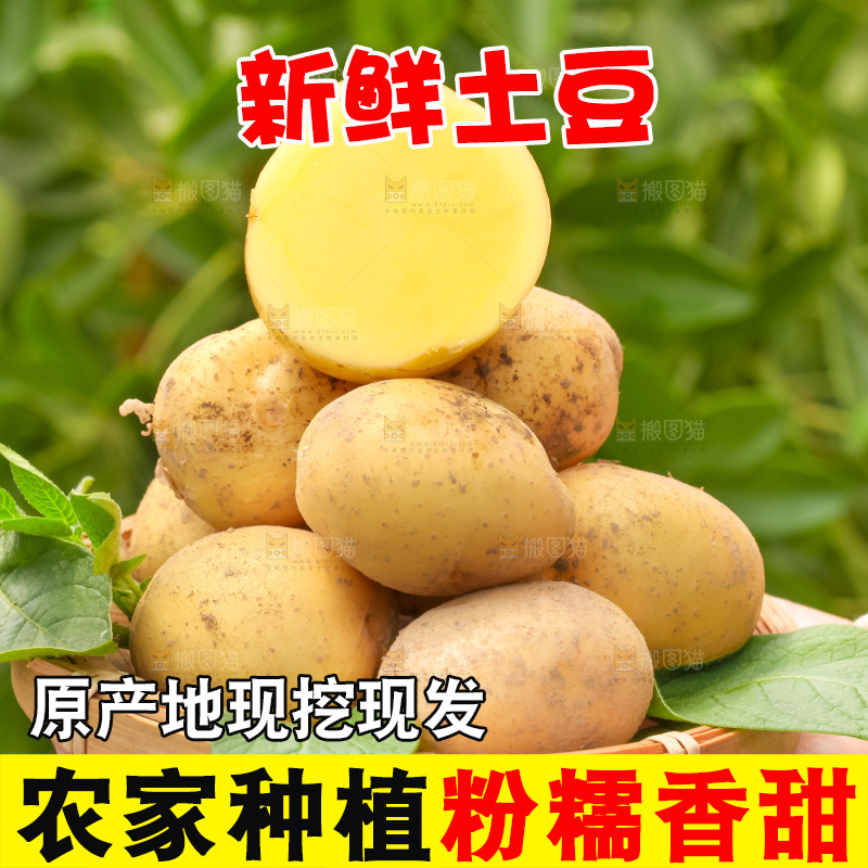竹篮里放着云南小土豆
