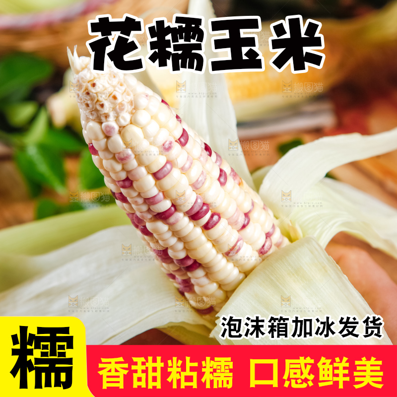 手里拿着剥皮的花玉米