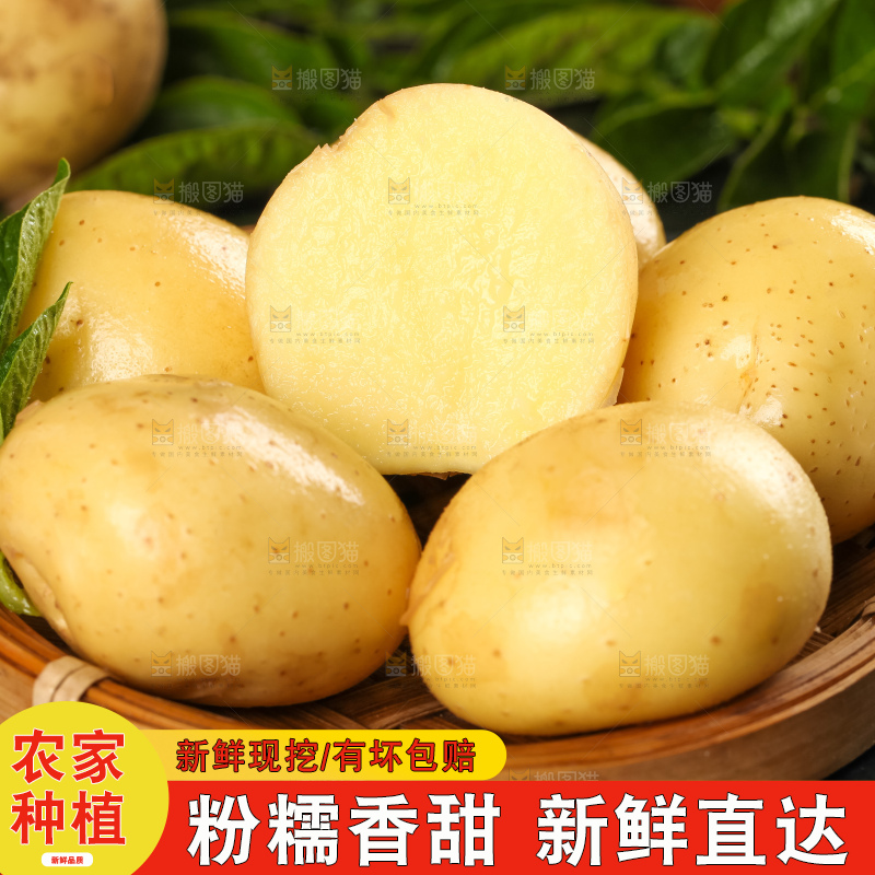 竹篮里装着小土豆
