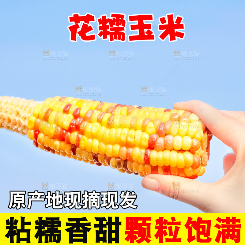 手里拿着花糯玉米
