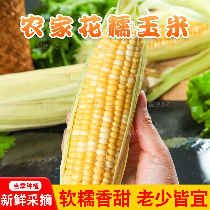 手里拿着花玉米