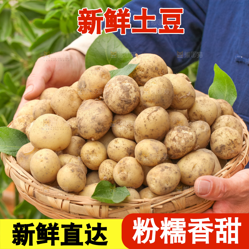 竹篮里放着云南小土豆