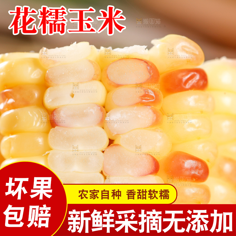 糯玉米粒