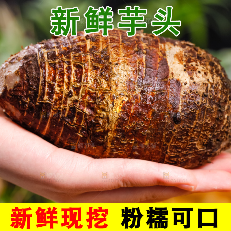 手里拿着荔浦芋头