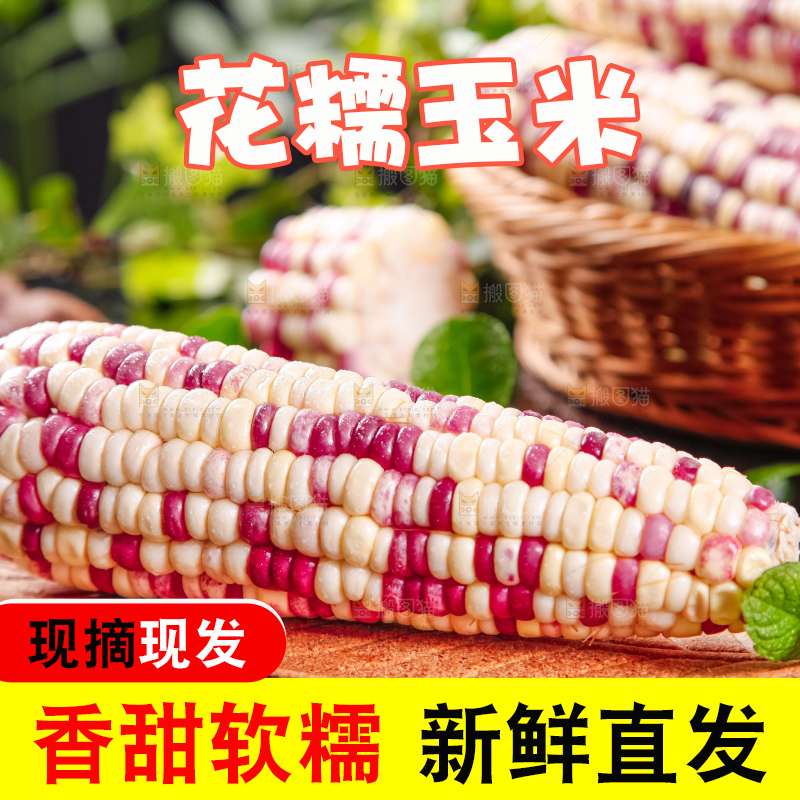 木垫上放着花玉米