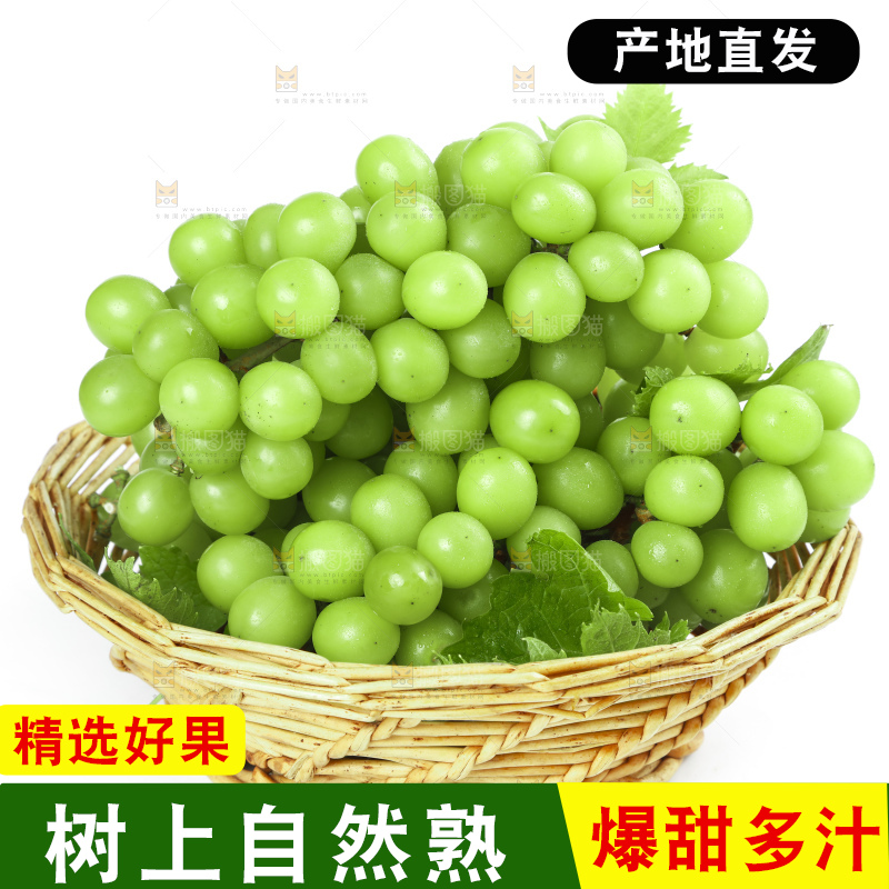篮子里装着阳光玫瑰