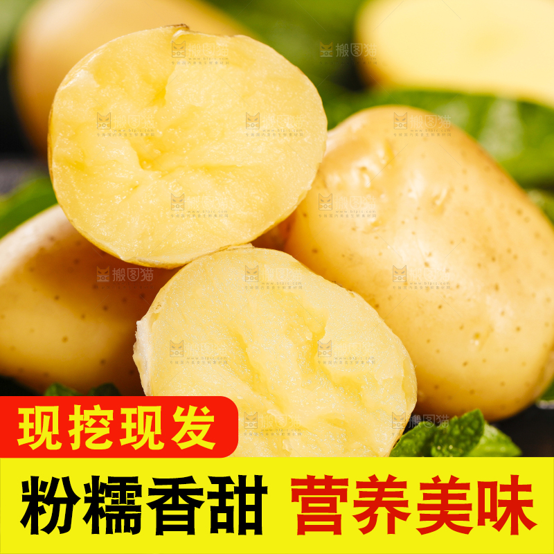 黑石垫上放着云南小土豆