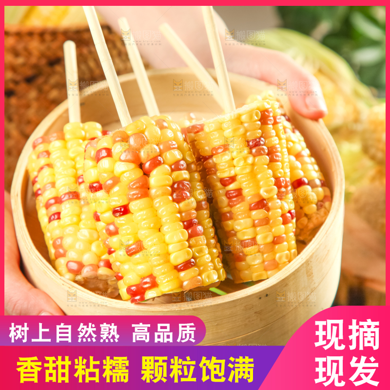 竹笼里装着糯玉米