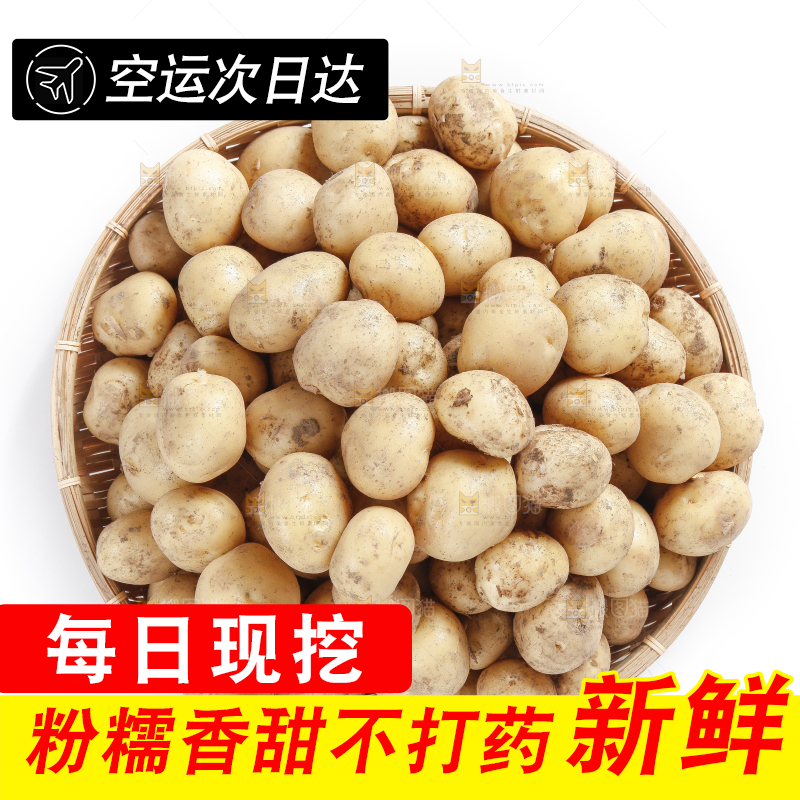 竹篮里放着小土豆