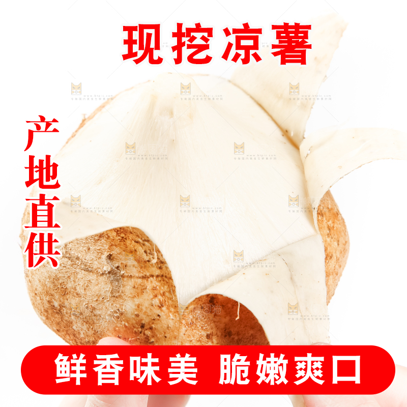 手里拿着凉薯