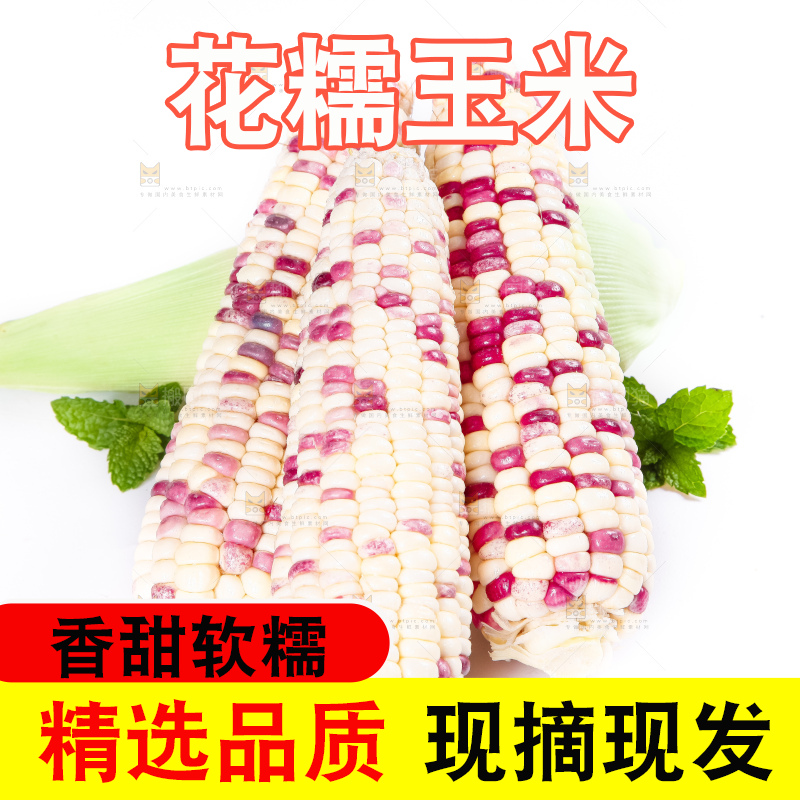 白底上放着剥皮的花玉米