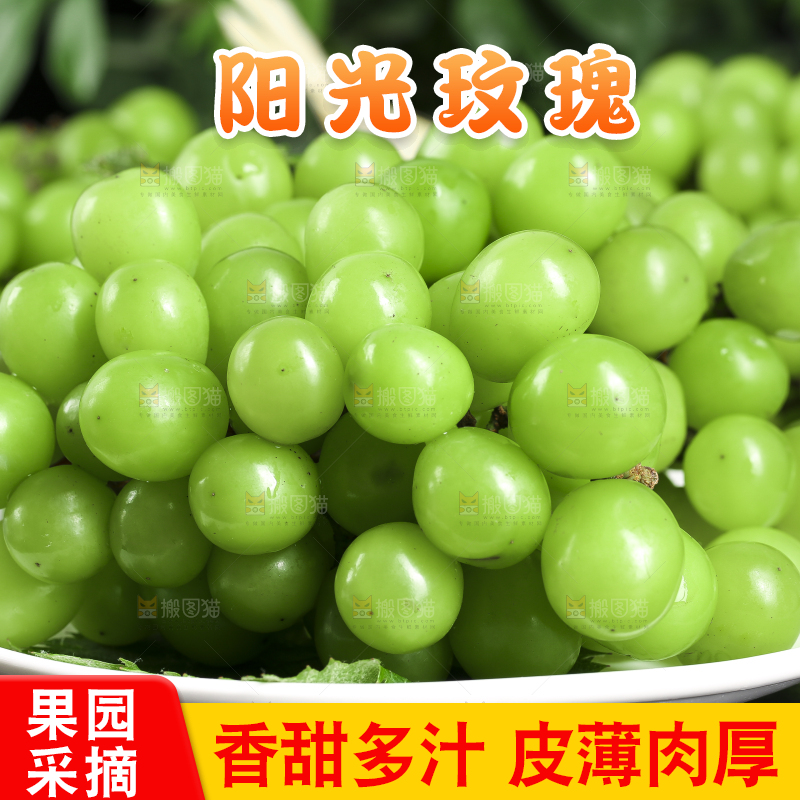 盘子里装着无籽青提