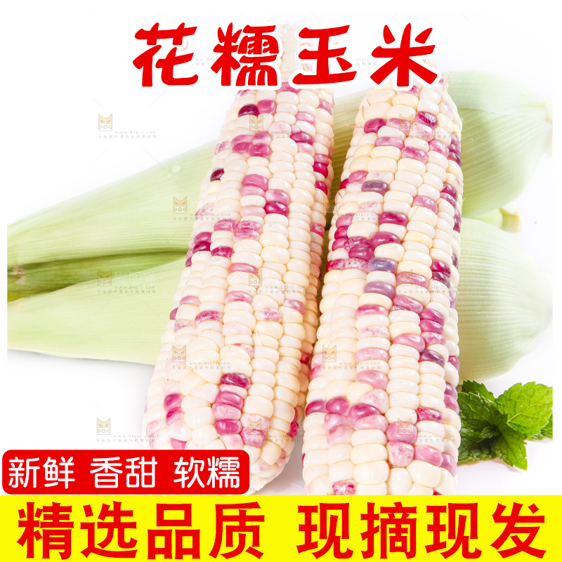 白底上放着剥皮的花玉米