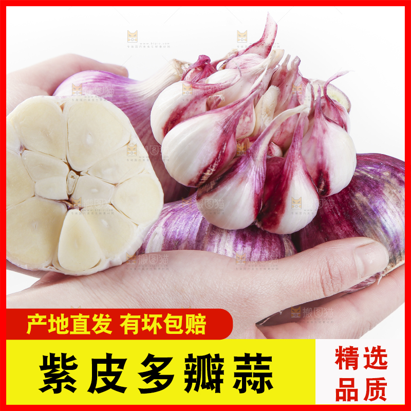 手里拿着紫皮蒜