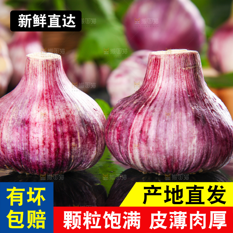 黑石板上放着紫皮大蒜