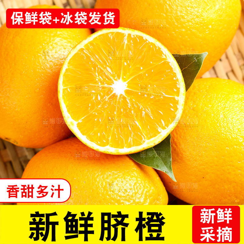 叶子上的新鲜脐橙
