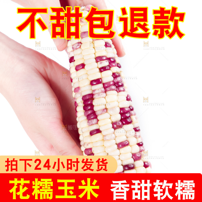 手里拿着剥皮的花玉米