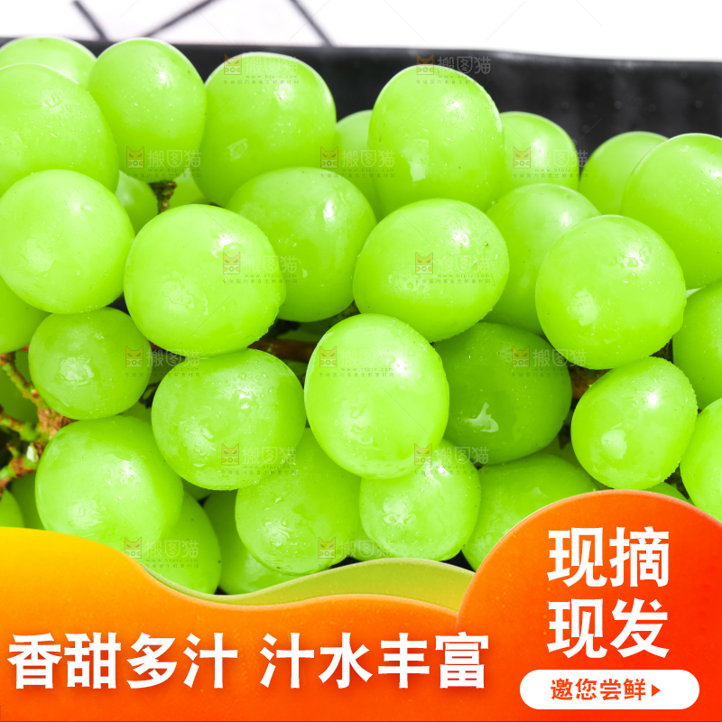 盘子里装着无籽青提