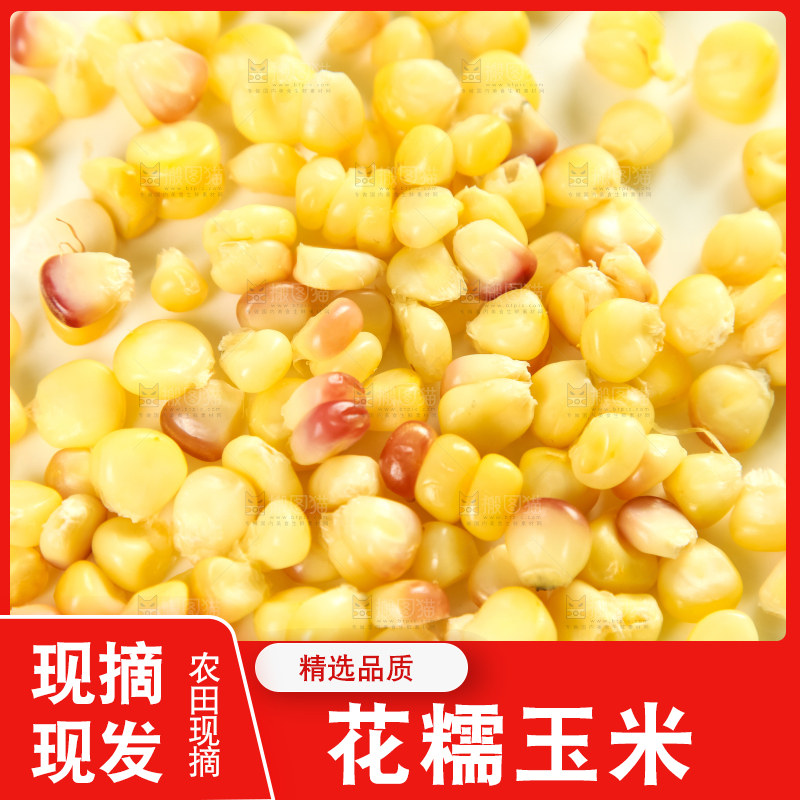 白底上的糯玉米粒