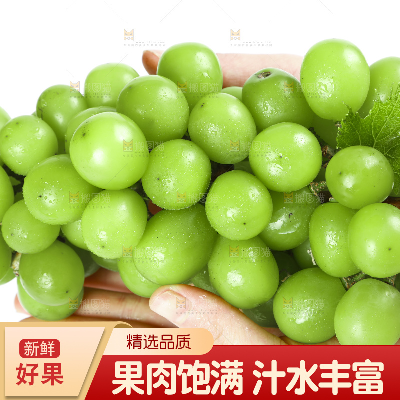 手里拿着无籽青提