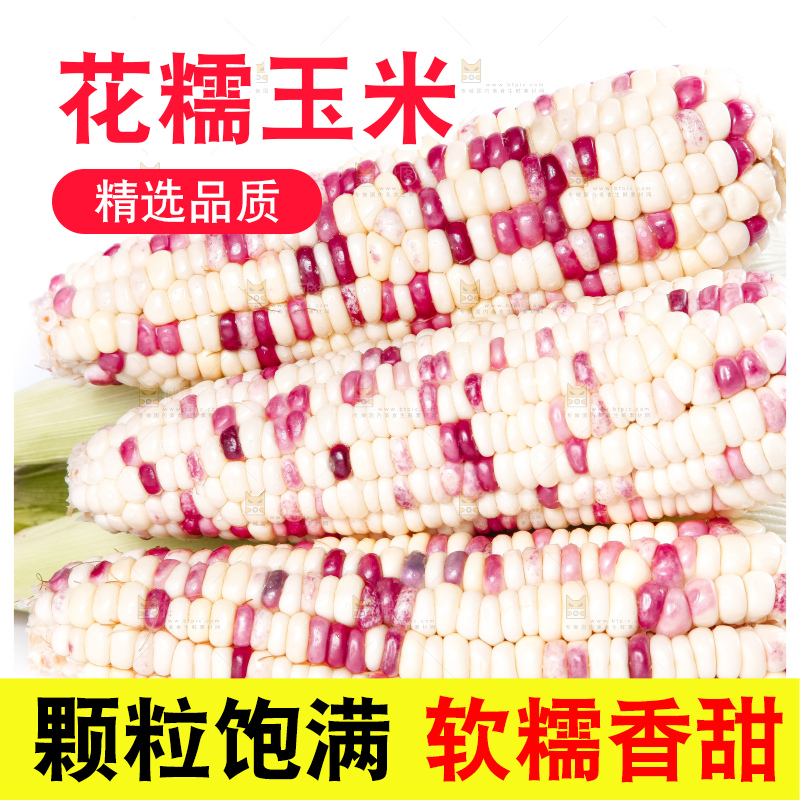 白底上放着剥皮的花玉米