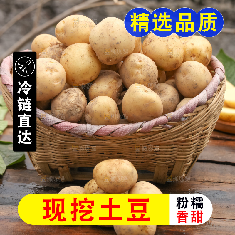 竹篮里装着云南小土豆