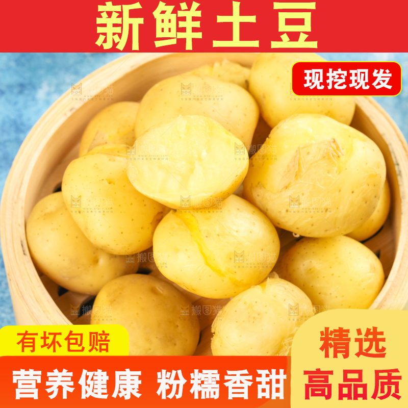 竹笼里的小土豆