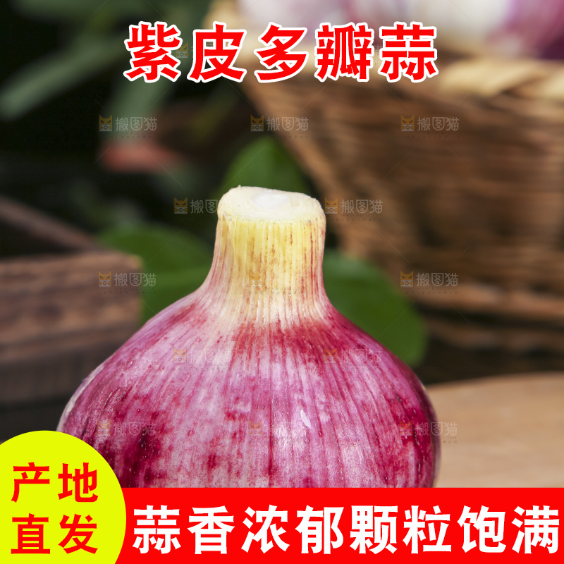 木板上放着云南紫皮蒜