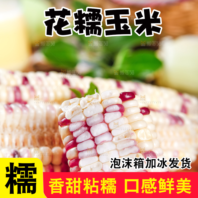 木板上放着剥皮的香甜糯玉米