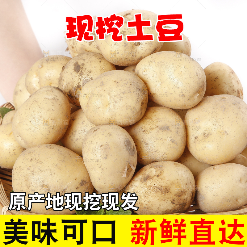 竹篮里放着小土豆