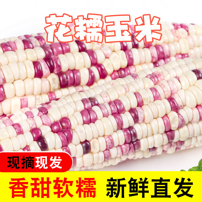 盘子里装着花糯玉米粒