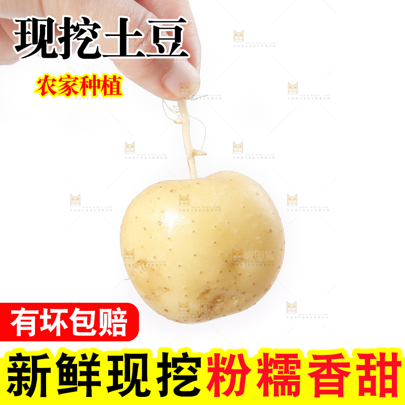 手里拿着土豆