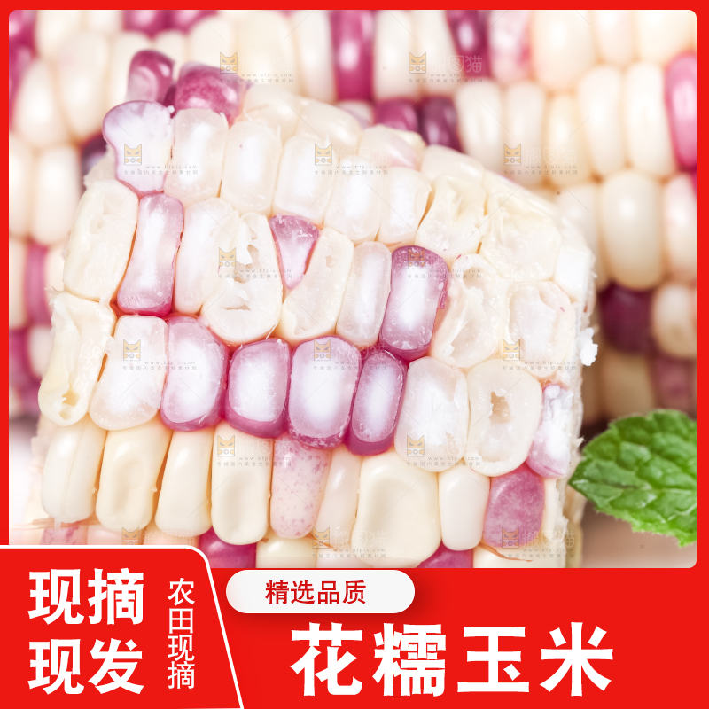 盘子里装着花糯玉米粒