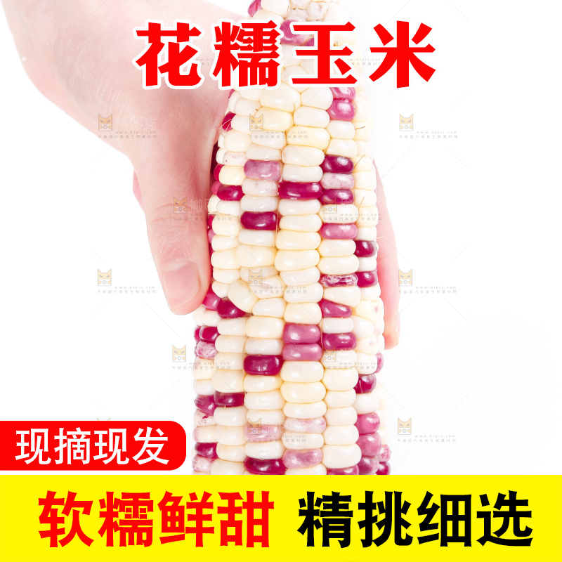 手里拿着剥皮的广西花糯玉米