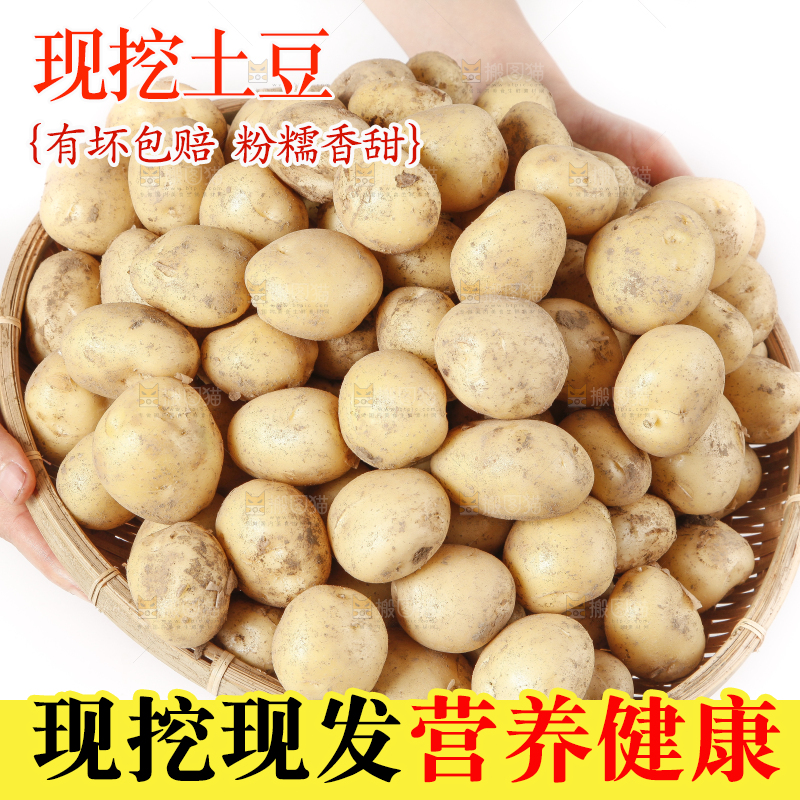 竹篮里放着小土豆