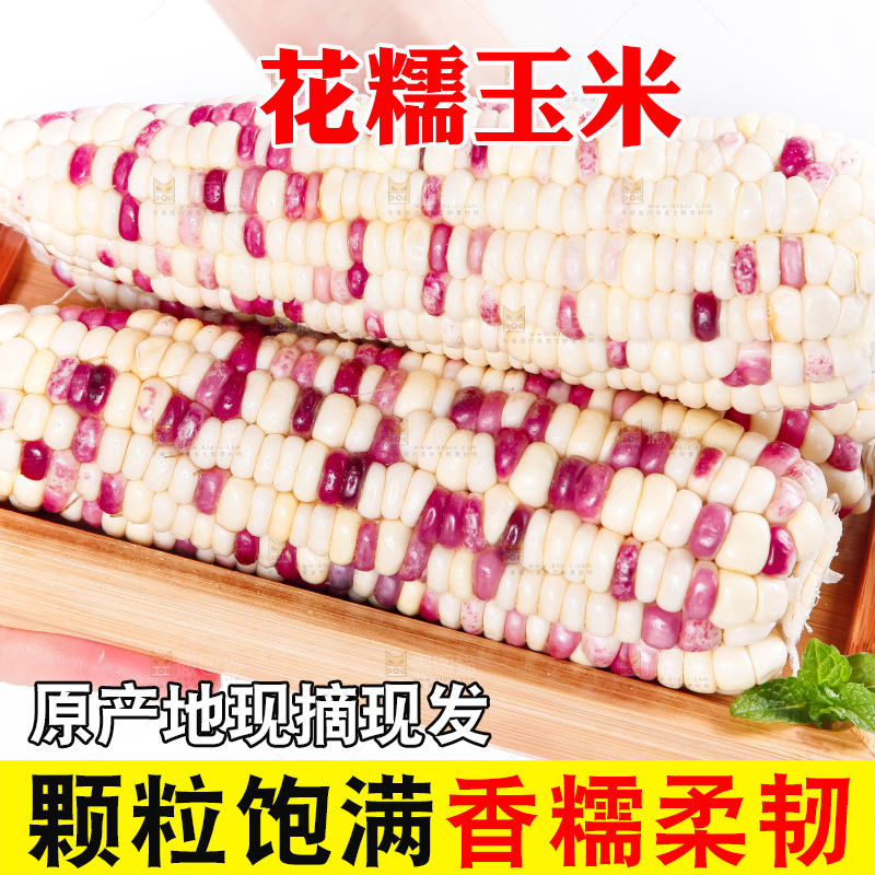 盘子里装着剥皮的广西花糯玉米
