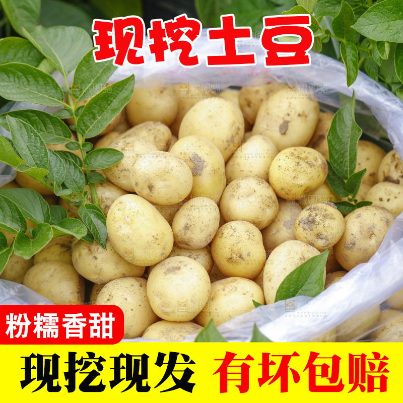 袋子里装着土豆