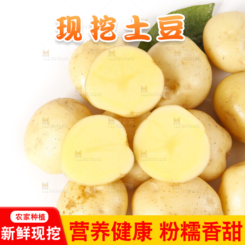 白底上的云南小土豆