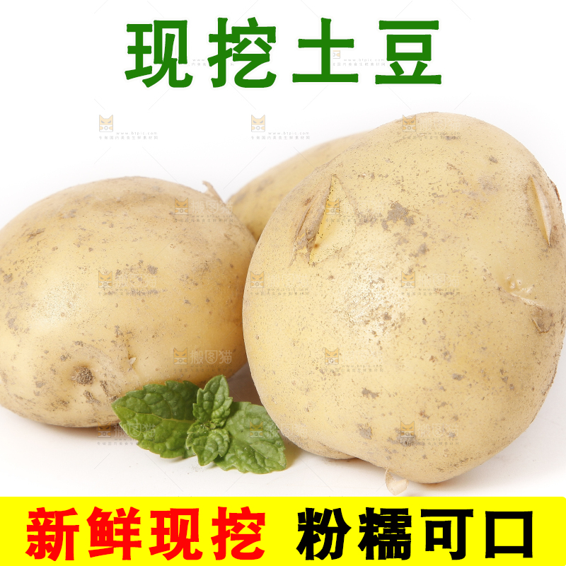 白底上放着土豆