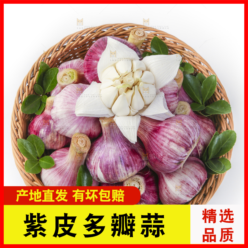 竹篮里面放着紫皮蒜