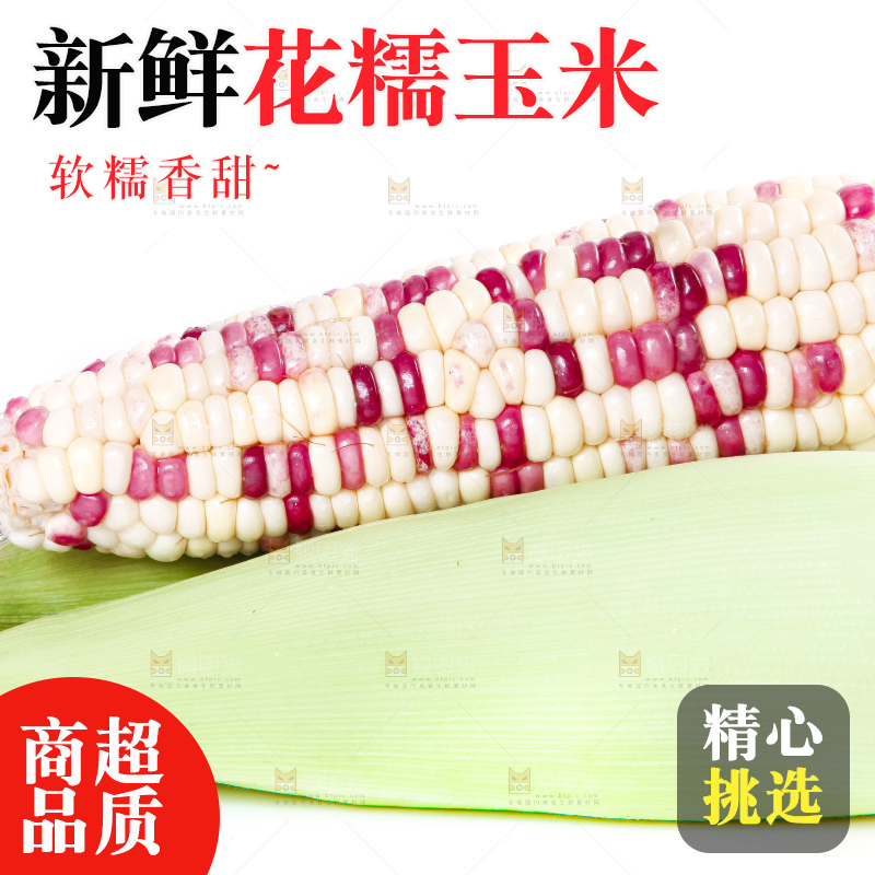 白底上放着剥皮的花玉米