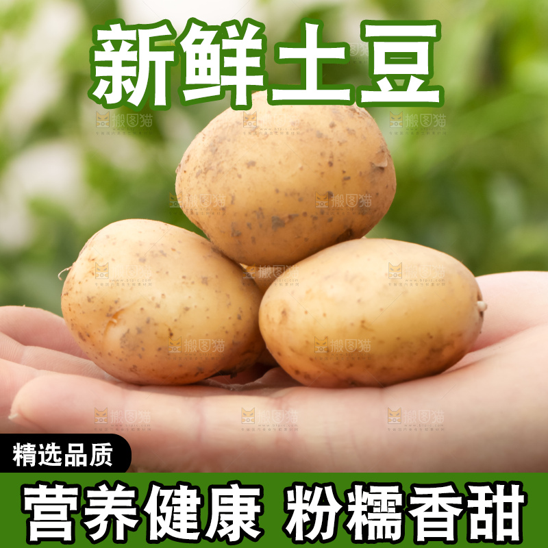 手里拿着云南小土豆