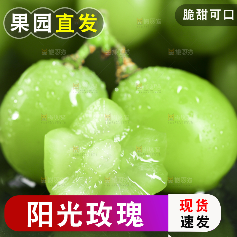 黑石垫上放着无籽青提
