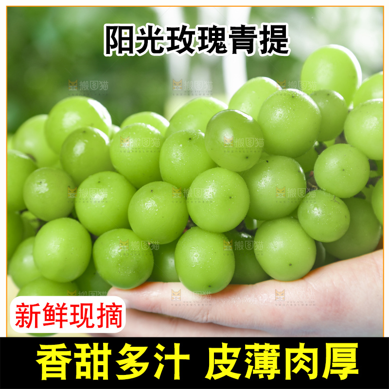 手里拿着香印青提