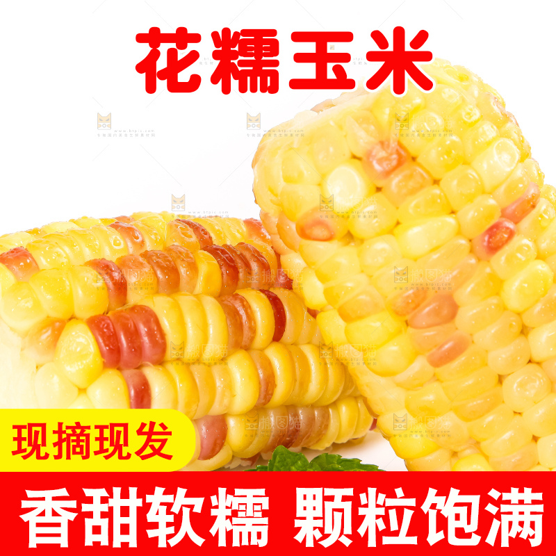 白底上放着切块的广西花糯玉米
