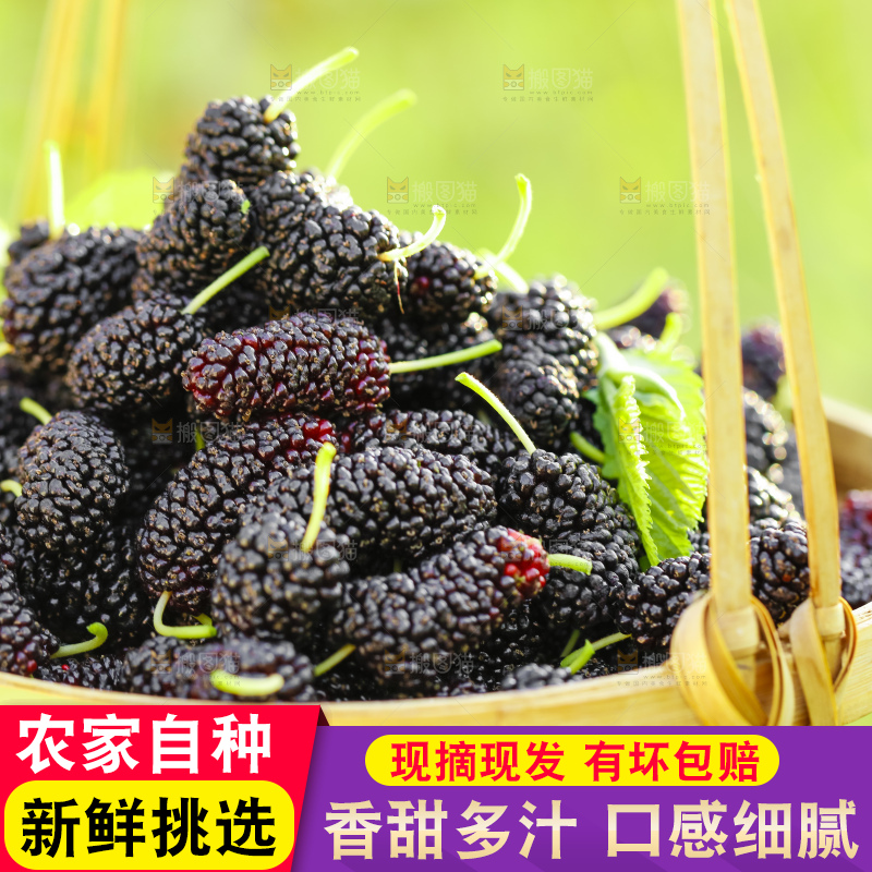 竹篮里装着桑葚