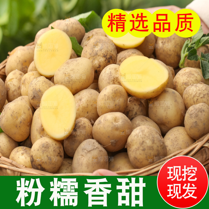 竹篮里放着云南小土豆