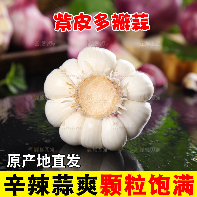 黑石板上放着紫皮蒜